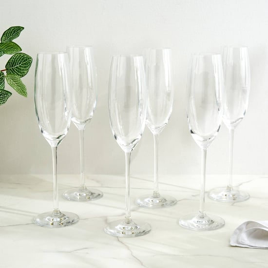 Wexford Akiko Lavish Flute Champagne Glass - 245ml