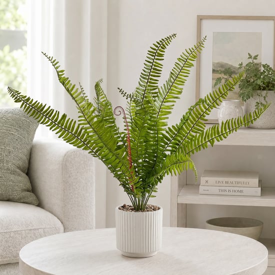 Corsica Gloria Classic Fern Artificial Plant in Ceramic Pot