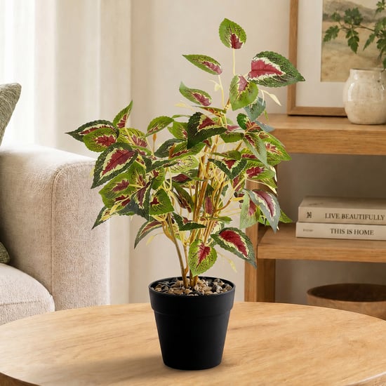Corsica Gloria Artificial Coleus Plant in Pot