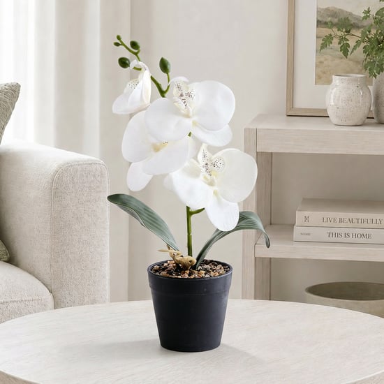 Corsica Gloria Artificial Phalaenopsis Orchids in Pot