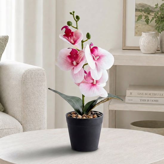 Corsica Gloria Artificial Phalaenopsis Orchids in Pot