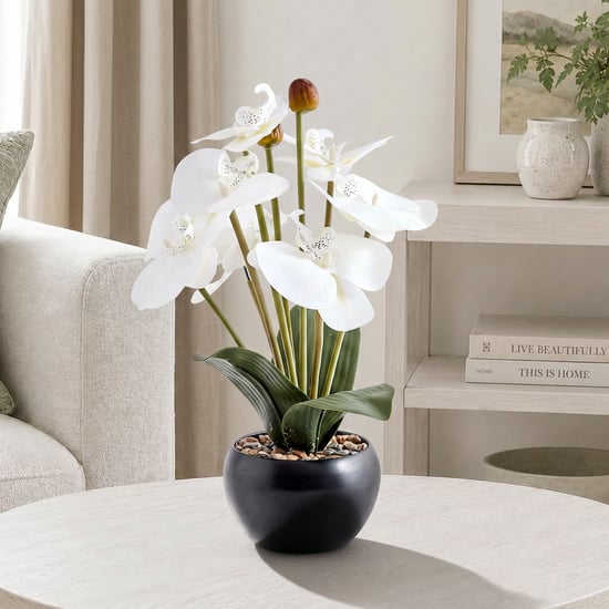 Corsica Gloria Artificial Phalaenopsis Orchids in Metal Pot
