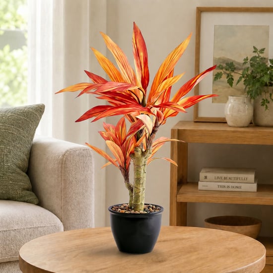 Corsica Gloria Artificial Dracaena Plant in Ceramic Pot