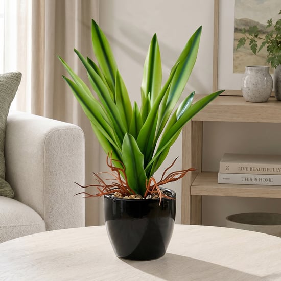 Corsica Gloria Artificial Agave Succulent Plant in Ceramic Pot