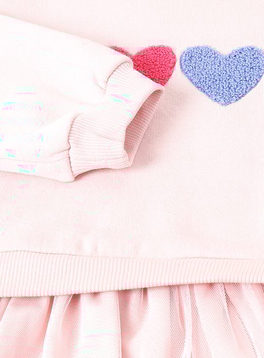 Girls Applique Tulle Dress