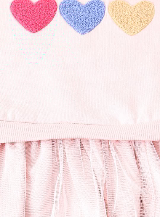 Girls Applique Tulle Dress