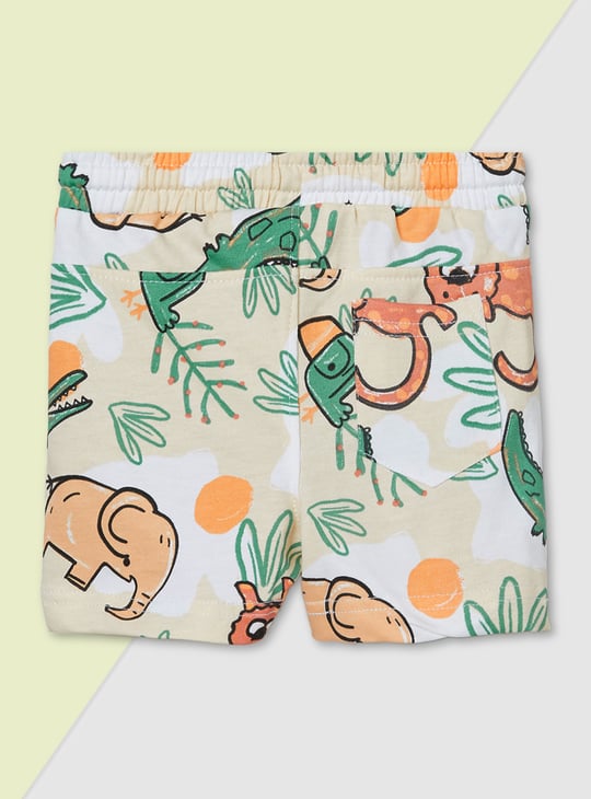 Boys Assorted Shorts - Pack of 2