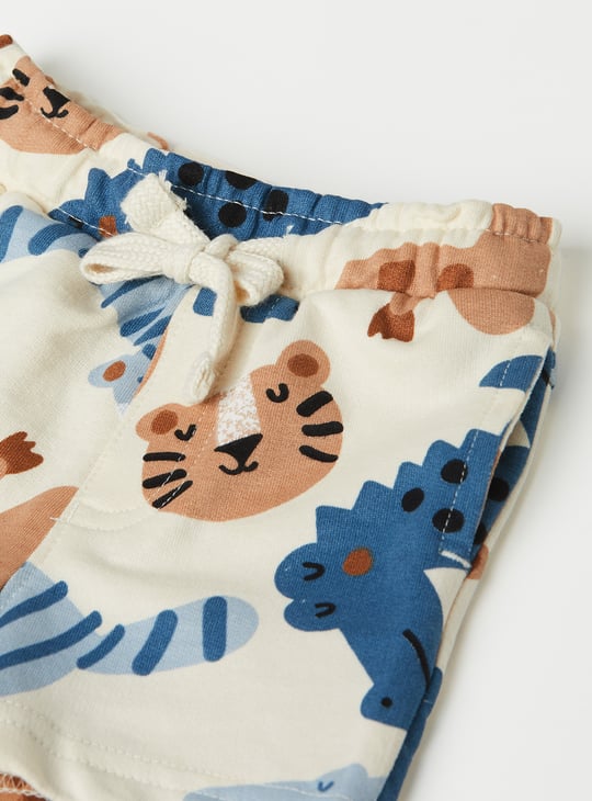 Boys Assorted Shorts - Pack of 2