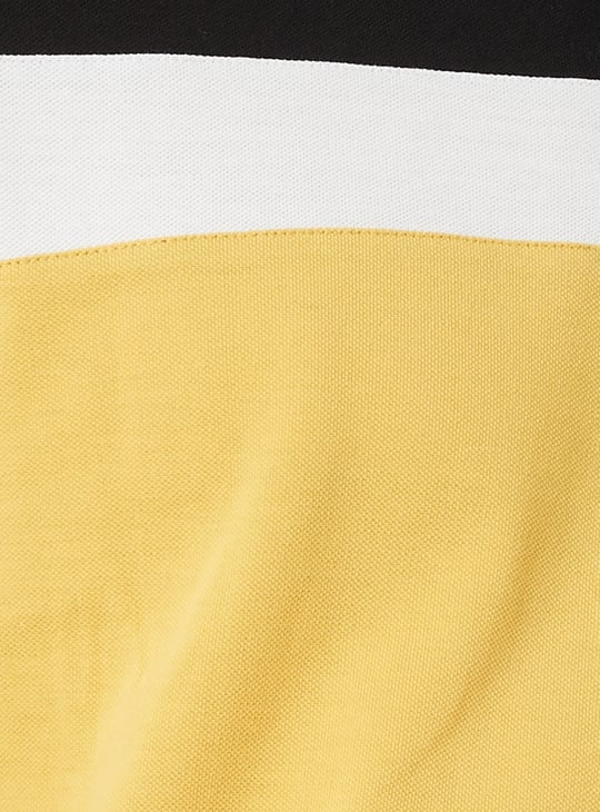 Men Colourblock Polo T-shirt