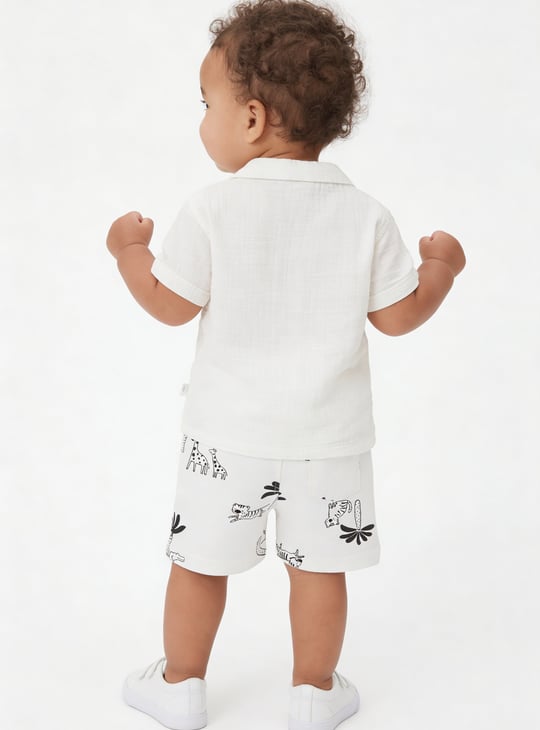Boys Assorted Shorts - Pack of 2