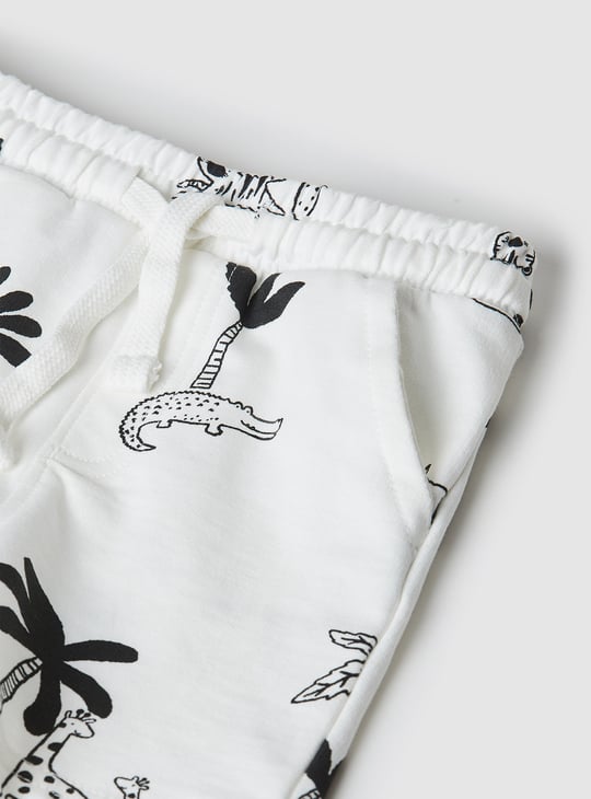 Boys Assorted Shorts - Pack of 2