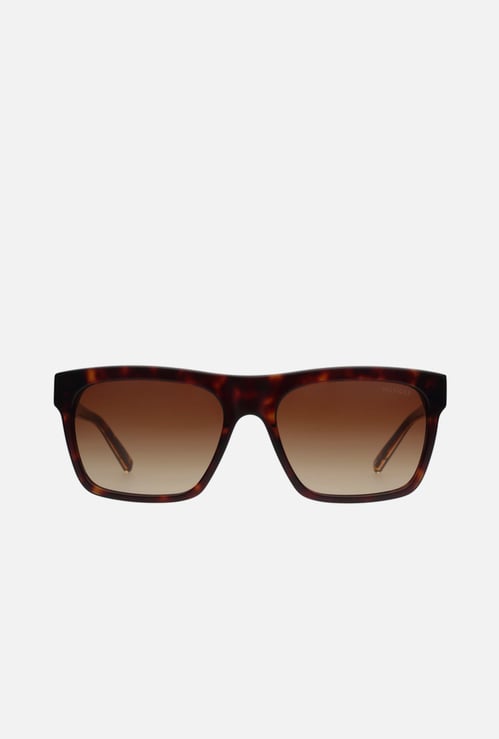 TOMMY HILFIGER UV Protected Square Sunglasses - TH8011C2HAVGDBR3456S