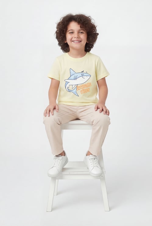 Boys Printed T-shirt