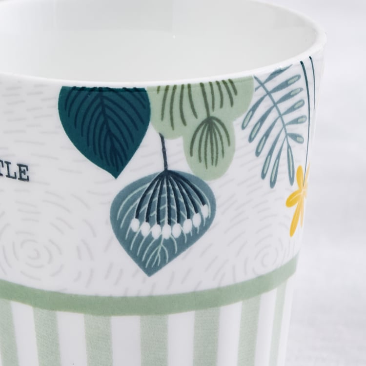 Raisa Joven 5Pcs Bone China Cutting Chai Cups with Stand - 140ml