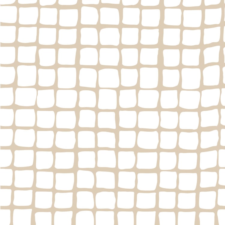 Spinel Zima 2Pcs Checked Single Bedsheet Set