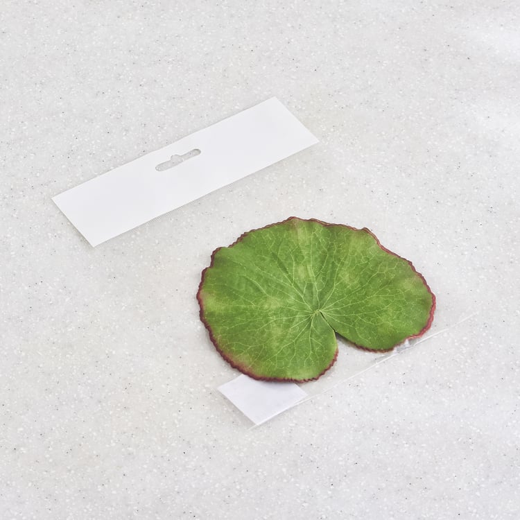 Gloria Hover Set of 9 Fabric Floating Lotus Leaves