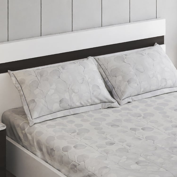 Iced Palace Louise Cotton 180TC Printed 3pcs Super King Bedsheet Set