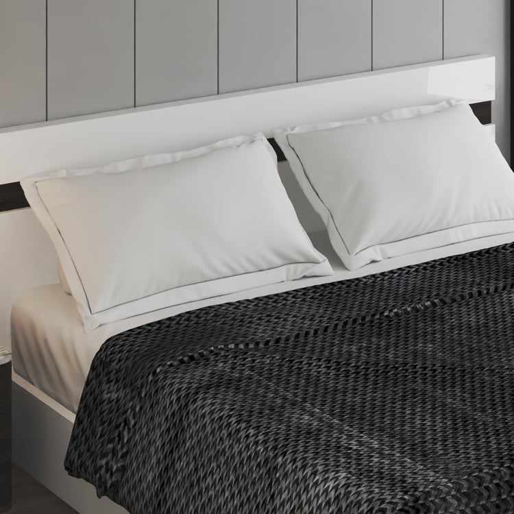 Radiant Printed Double Blanket