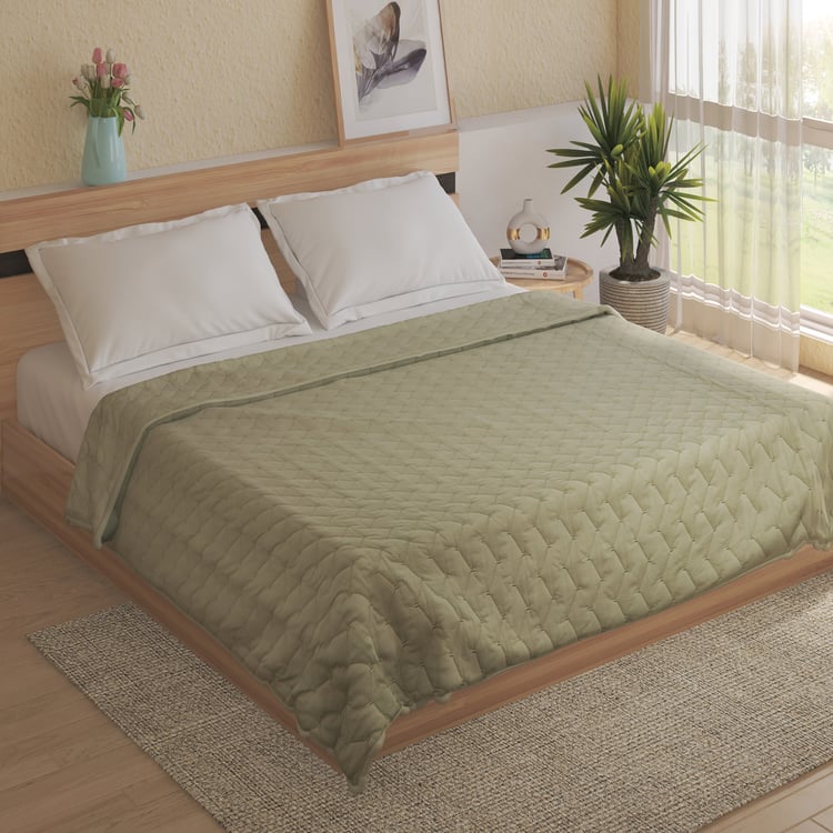 Mystic Gard Mirelle Cotton Embroidered Double Quilt