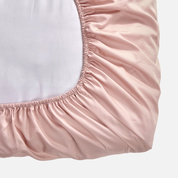 Eternity Luxe Elaris Cotton 325TC 3Pcs King Fitted Bedsheet Set