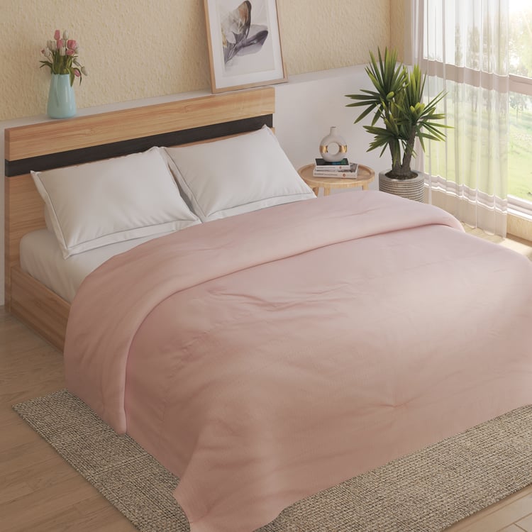 Eternity Luxe Elaris Cotton Double Comforter
