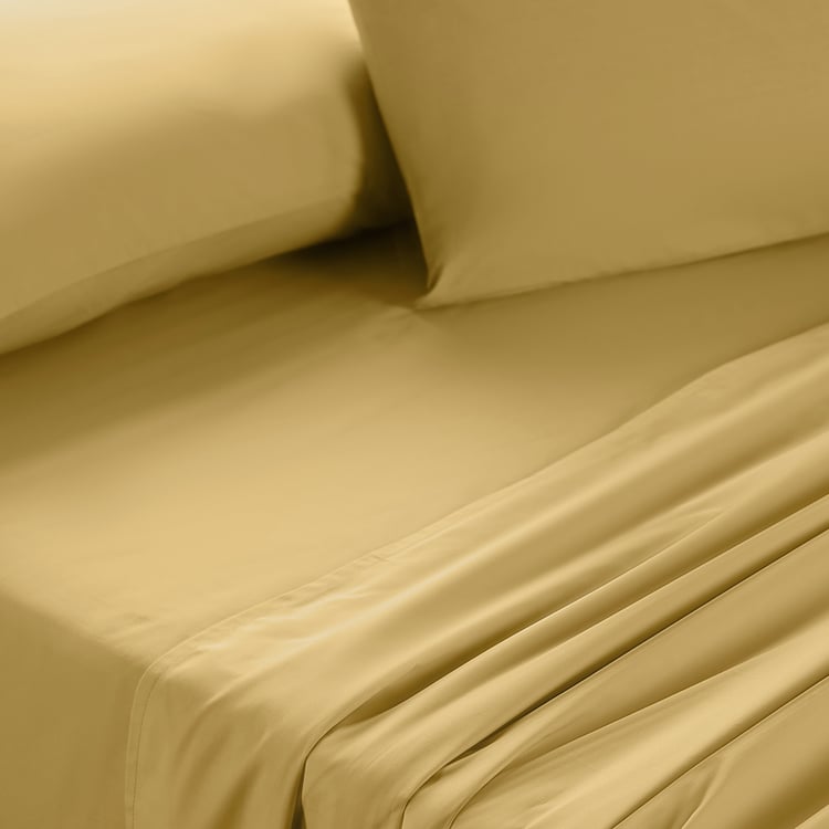 MASPAR Slumber Cotton 200TC 3Pcs Queen Bedsheet Set