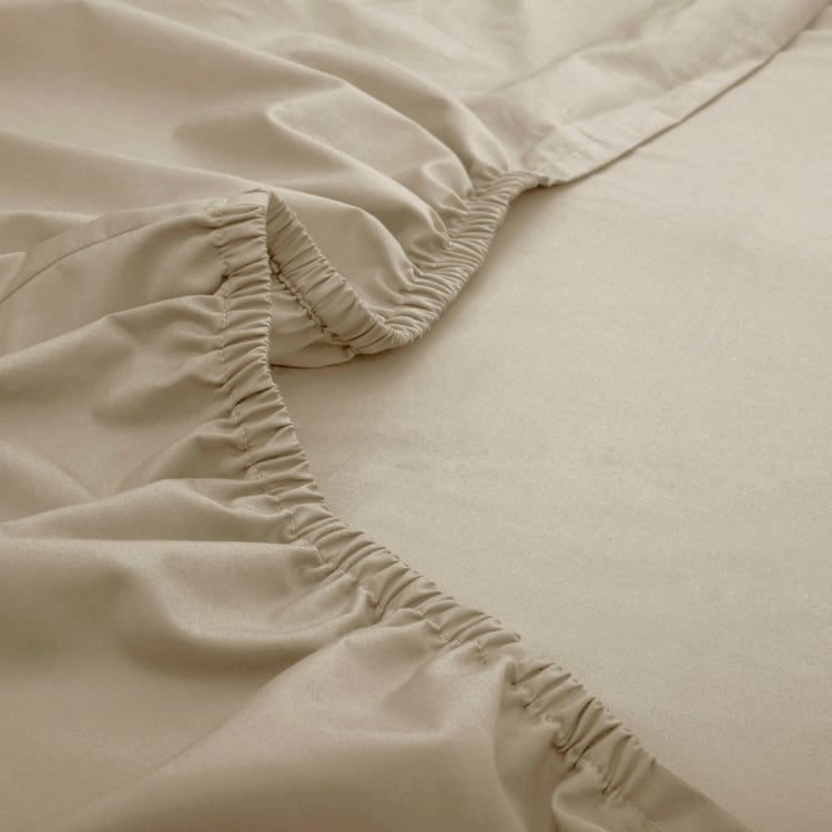 MASPAR Slumber Cotton 200TC 3Pcs King Fitted Bedsheet Set