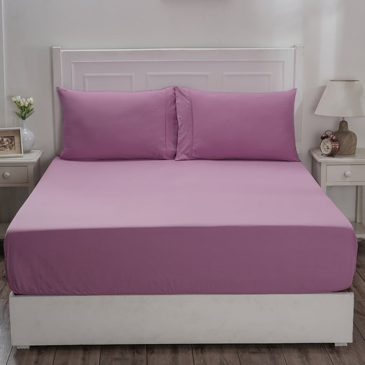 MASPAR Eden Cotton 144TC 3Pcs King Fitted Bedsheet Set