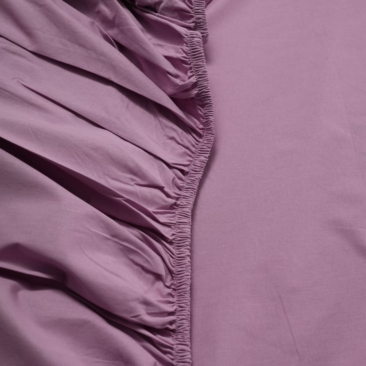MASPAR Eden Cotton 144TC 3Pcs King Fitted Bedsheet Set