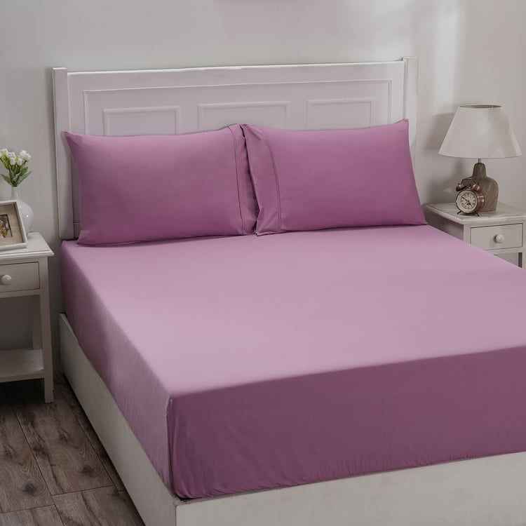 MASPAR Eden Cotton 144TC 3Pcs King Fitted Bedsheet Set