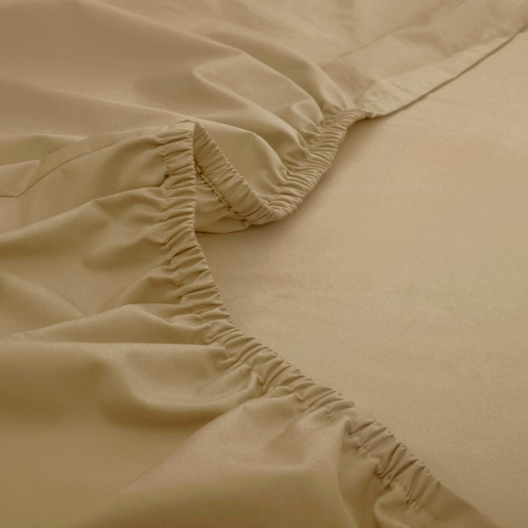 MASPAR Slumber Cotton 200TC 3Pcs King Fitted Bedsheet Set