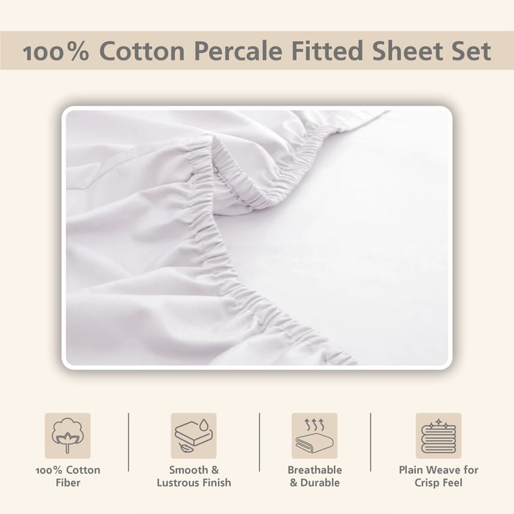 MASPAR Slumber Cotton 200TC 3Pcs King Fitted Bedsheet Set