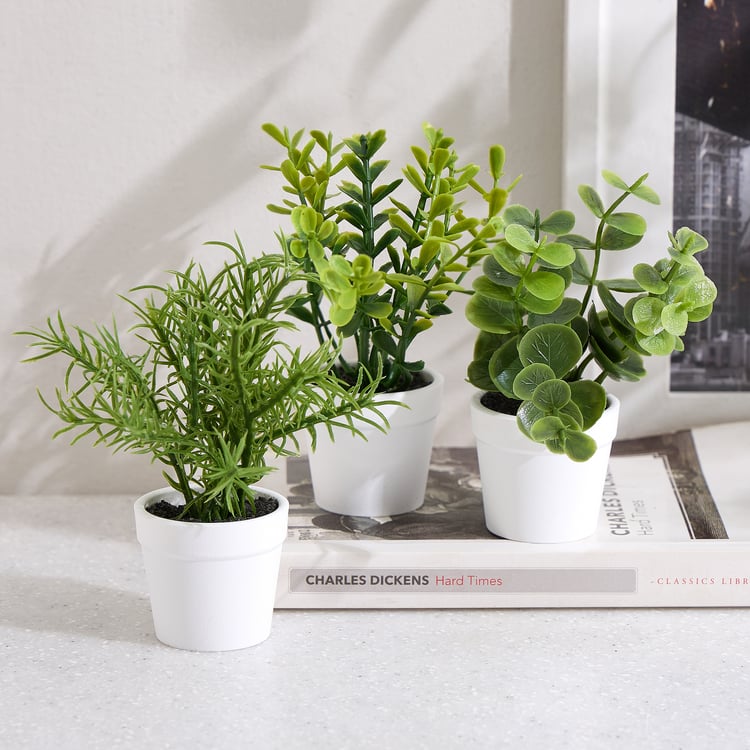 Nomad Korvo Set of 3 Mini Artificial Plants in Pot