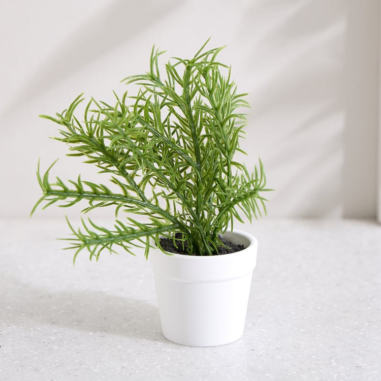 Nomad Korvo Set of 3 Mini Artificial Plants in Pot