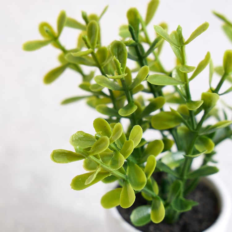Nomad Korvo Set of 3 Mini Artificial Plants in Pot