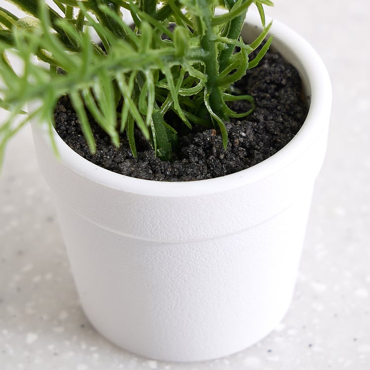 Nomad Korvo Set of 3 Mini Artificial Plants in Pot