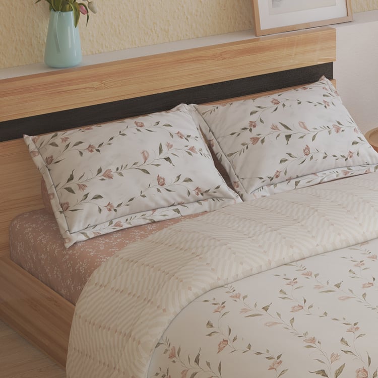 Chime Rosin Cotton 4Pcs Printed Double Bed-In-A-Bag Set