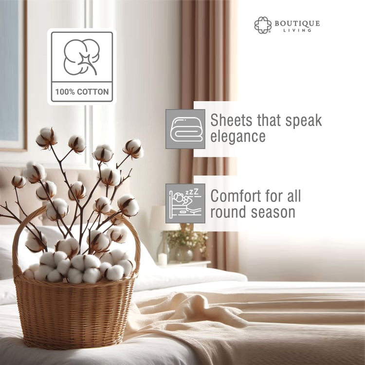 BOUTIQUE LIVING Elegant Cotton 210TC Striped 3Pcs Super King Bedsheet Set