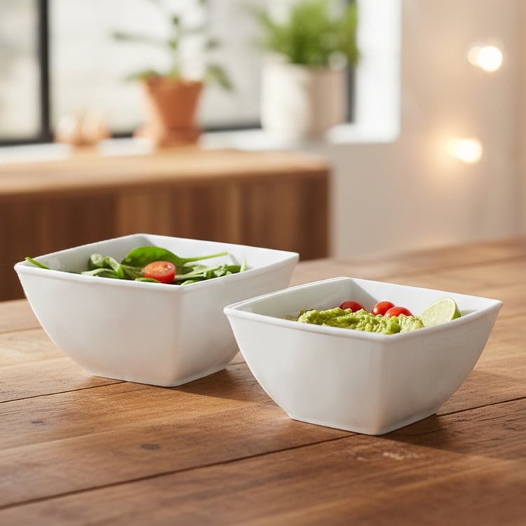 HOMESAKE Set of 2 Porcelain Serving Bowls