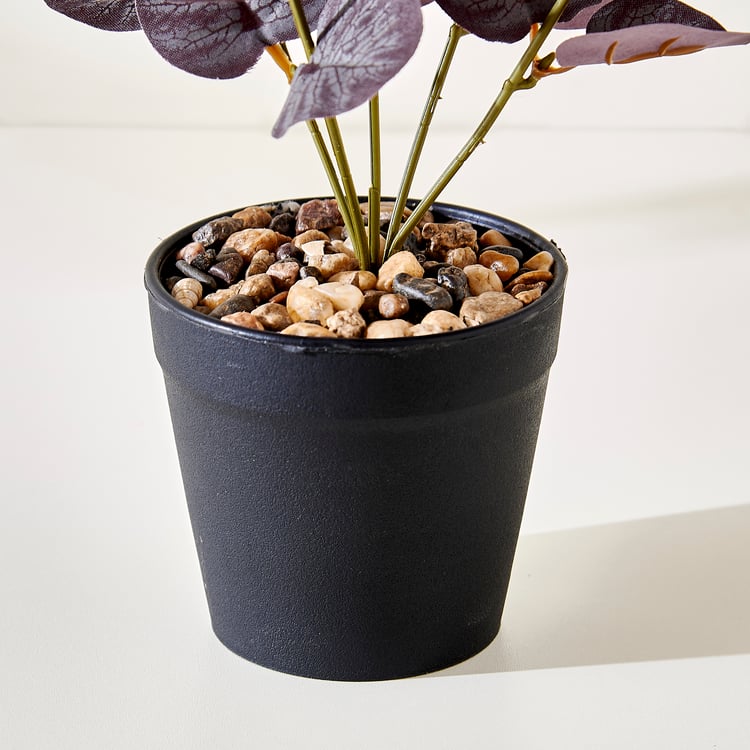 Corsica Gloria Artificial Eucalyptus Plant in Pot