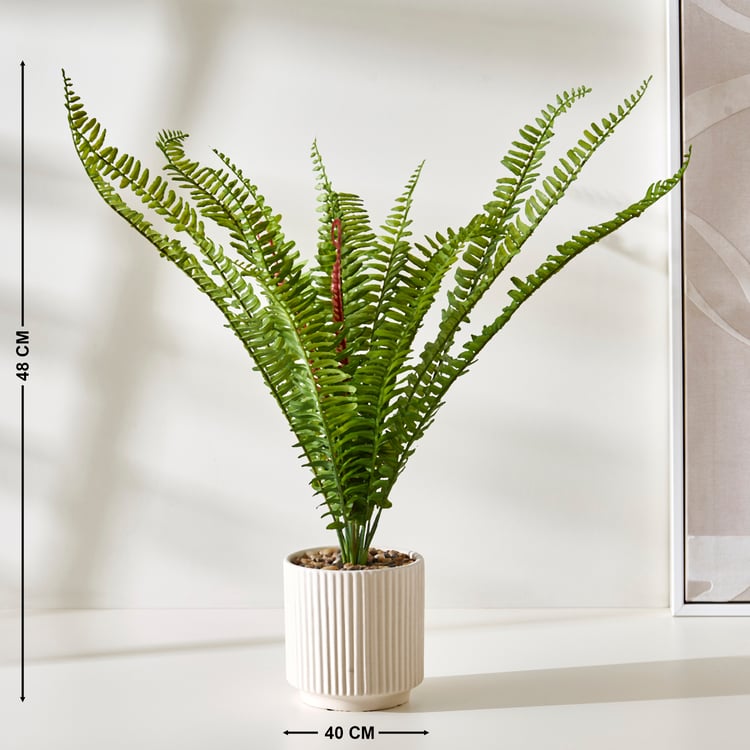 Corsica Gloria Classic Fern Artificial Plant in Ceramic Pot