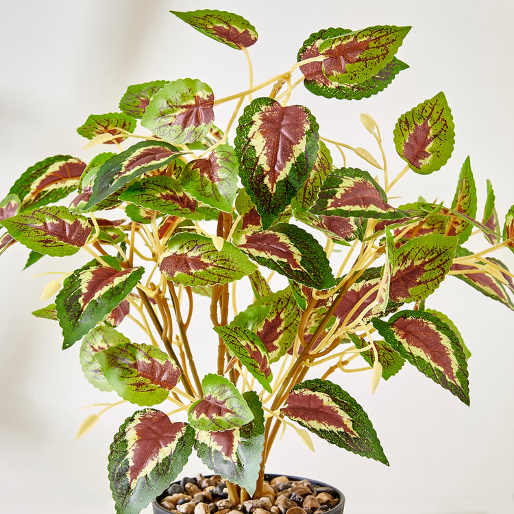 Corsica Gloria Artificial Coleus Plant in Pot