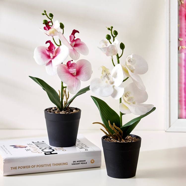 Corsica Gloria Artificial Phalaenopsis Orchids in Pot
