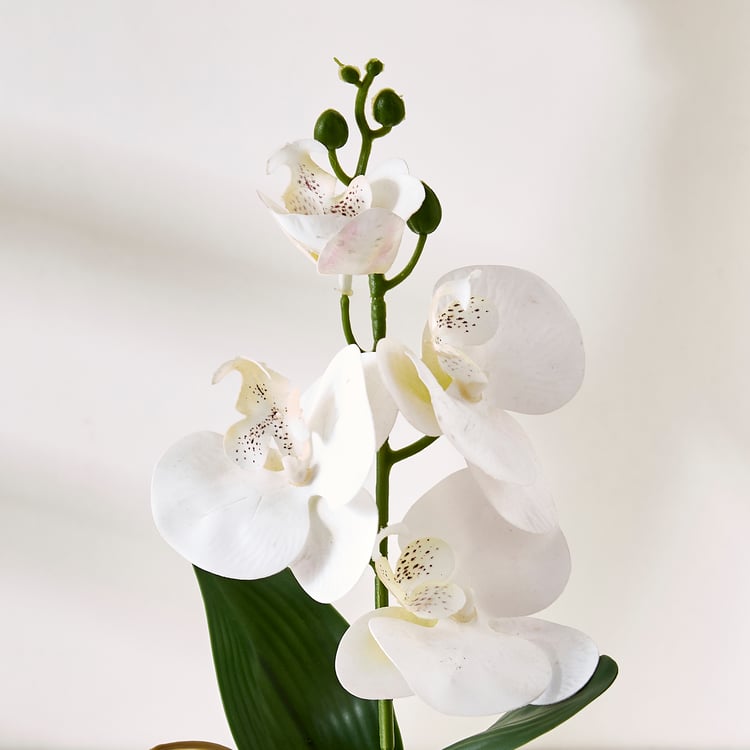 Corsica Gloria Artificial Phalaenopsis Orchids in Pot