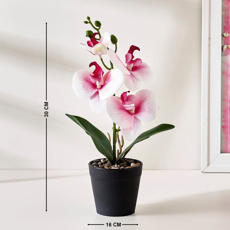 Corsica Gloria Artificial Phalaenopsis Orchids in Pot