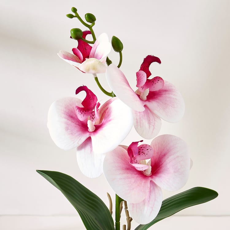 Corsica Gloria Artificial Phalaenopsis Orchids in Pot