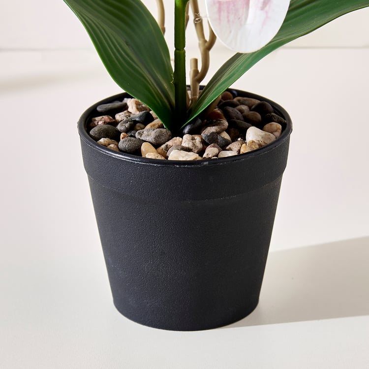 Corsica Gloria Artificial Phalaenopsis Orchids in Pot