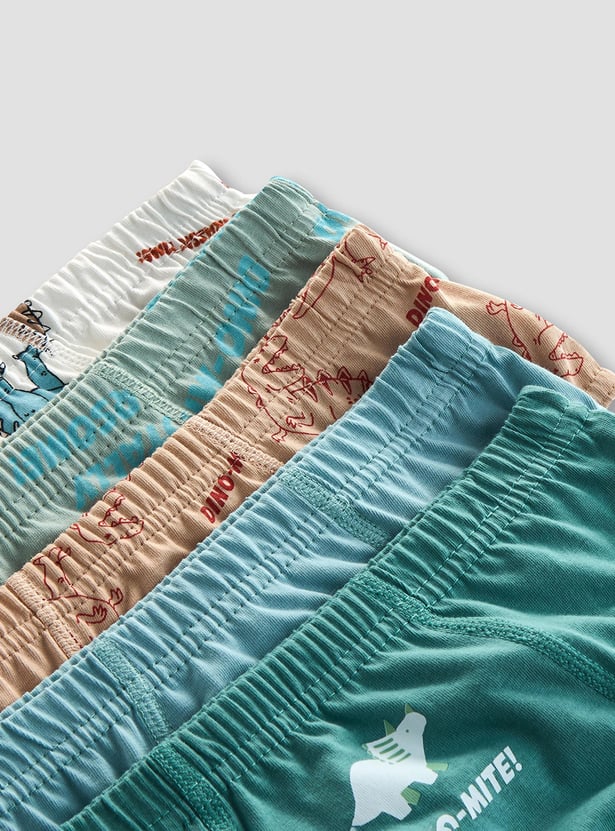 Juniors Dinosaur Print Briefs - Set of 5