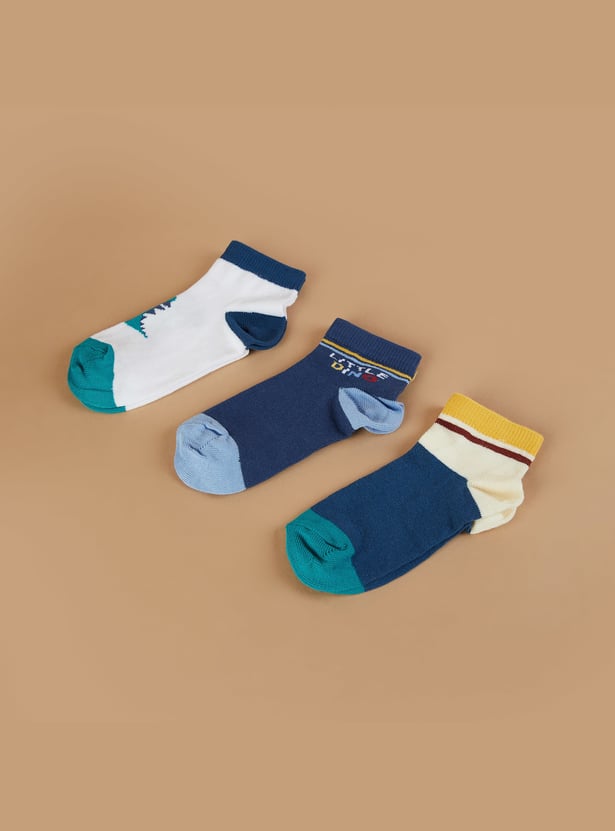 FAME FOREVER Assorted Ankle Length Socks - Pack of 3