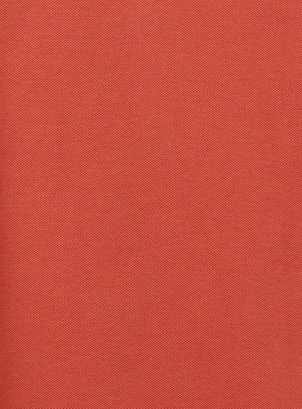 UNITED COLORS OF BENETTON Boys Typographic Print Polo T-shirt